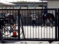 20150515_船橋競馬場_千葉サラブレッドセール_0741_DSC04834