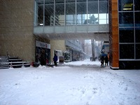 20140208_関東に大雪_千葉県船橋市南船橋地区_1516_DSC04378