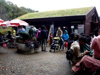20151122_船橋市金堀町_ふなばしアンデルセン公園_1241_DSC08881