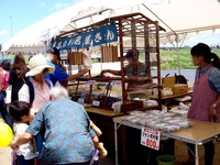 20150504_市川市_国分川鯉のぼりフェスティバル_1112_DSC03606