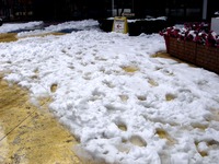 20140215_千葉県船橋市南船橋地区_関東に大雪_1220_DSC05205