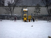 20140208_関東に大雪_千葉県船橋市南船橋地区_1456_DSC04338