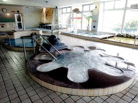 20151230_船橋市夏見_船橋健康センター_ゆとろぎの湯_142