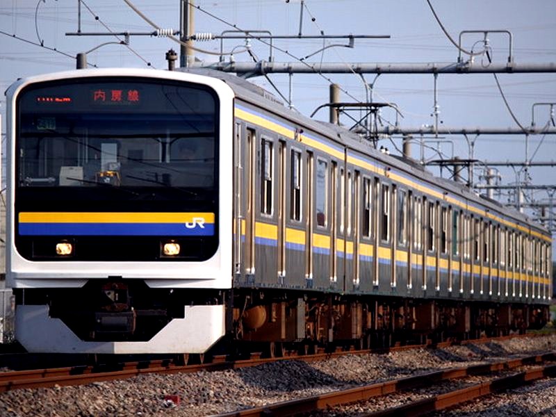 事件事故 千葉県の房総半島で列車とシカの衝突が多発 33 ビビット2021 2014