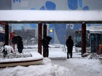 20140208_関東に大雪_千葉県船橋市南船橋地区_1544_DSC04416