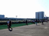 20140923_船橋市若松1_船橋競馬場_ナイター設備_1317_DSC08403