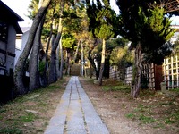 20140103_船橋市東船橋7_茂呂浅間神社_初詣_1546_DSC09001