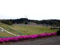 20150412_千葉県袖ケ浦永吉_東京ドイツ村_1338_DSC09172