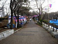 20140323_船橋市_海老川_花見_屋台_桜_1554_DSC00694