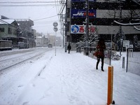 20140208_関東に大雪_千葉県船橋市南船橋地区_1455_DSC04337