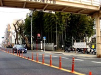 20170305_市川市八幡2_不知森神社_1351_DSC02326