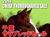 20140519_船橋競馬場_千葉サラブレッドセール_003