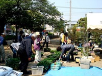 20140426_船橋市本町_天沼弁天沼池公園_緑りと花のジャンボ市_0906_DSC06084