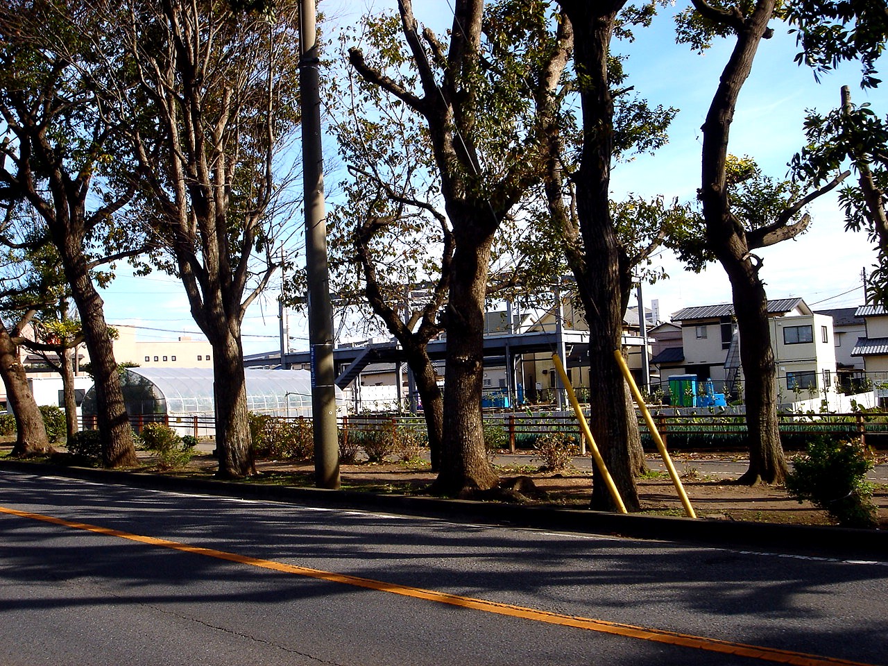 ビビット2022-2014                vivit