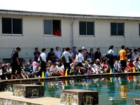 20140914_千葉県立船橋東高校_飛翔祭_1054_DSC06446