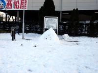 20140209_関東に大雪_千葉県船橋市南船橋地区_1504_DSC04455