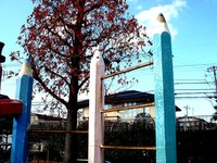 20151212_市川市相之川4_南行徳公園_エンピツ公園_1139_DSC01272