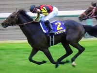 20150419_中山競馬場_皐月賞_Mデムーロ騎手_010
