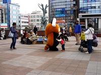 20160326_千葉市動物公園_レッサーパンダの風太くん_1148_DSC00382