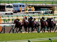20150419_中山競馬場_皐月賞_Mデムーロ騎手_034