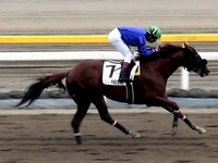 20140505_船橋競馬場_かしわ記念_ふなっしー_1657_29040