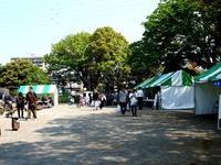 20140426_船橋市本町_天沼弁天沼池公園_緑りと花のジャンボ市_0906_DSC06086