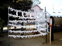 20140103_習志野市津田沼3_菊田神社_初詣_1350_DSC08664