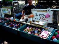 20140601_船橋市_第29回海老川親水市民まつり_0943_DSC03360