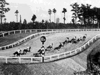 20150420_総武競馬会_中山競馬倶楽部_082