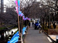 20140323_船橋市_海老川_花見_屋台_桜_1553_DSC00680