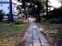 20140103_船橋市東船橋7_茂呂浅間神社_初詣_1550_DSC09030