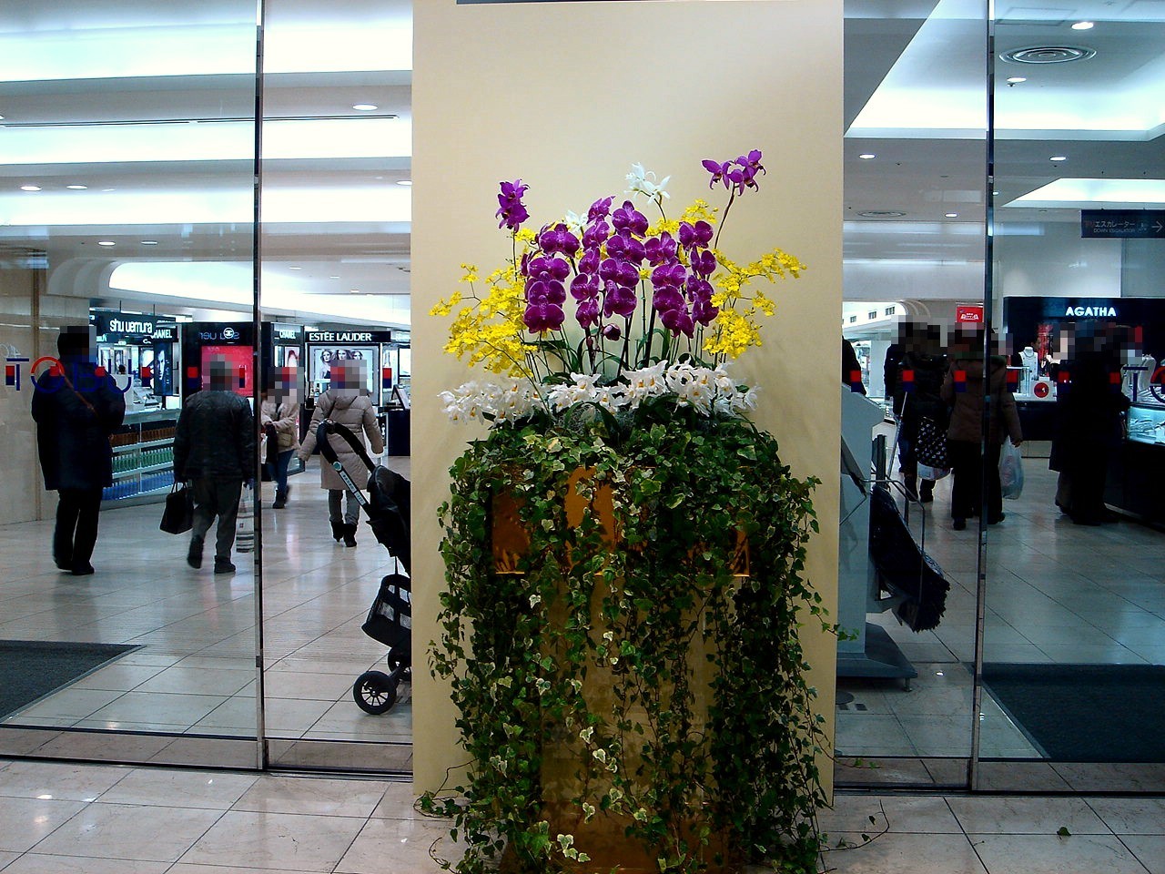 冬の風13 14 東武船橋店で船橋洋ラン展編 54 ビビット21 14