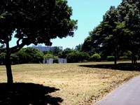 20140805_千葉市_海浜幕張公園バーベキューガーデン_1151_DSC03826