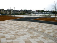 20150425_習志野市奏の杜_奏の杜中央公園_1356_DSC01520