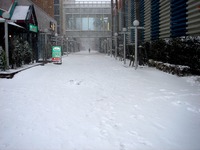 20140208_関東に大雪_千葉県船橋市南船橋地区_1513_DSC04377