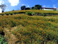 20151003_千葉県富津市田倉_マザー牧場_1017_DSC01179