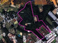 20151122_船橋市大神保町_千葉県立船橋県民の森_024