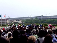 20140505_船橋競馬場_かしわ記念_ふなっしー_1656_14020