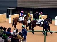 20150419_船橋市古作1_中山競馬場_皐月賞_1123_49030
