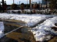 20140210_関東に大雪_千葉県船橋市南船橋地区_0745_DSC04725