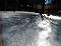 20150118_市川市_ニッケコルトンプラザ_スケート_1012_DSC05402