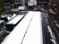 20140215_関東に大雪_津田沼_積雪_記録的大雪_1411_DSC05294