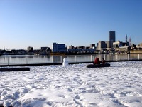 20140209_関東に大雪_千葉県船橋市南船橋地区_1548_DSC04604