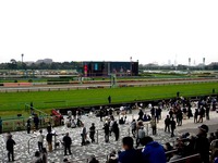 20150419_中山競馬場_皐月賞_マーチングドリル_1105_DSC00471