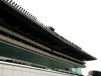 20150419_船橋市古作1_中山競馬場_JRA_1204_DSC01643