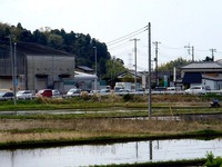 20150412_千葉県袖ケ浦永吉_東京ドイツ村_1153_DSC09007