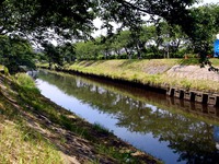 20140531_船橋市_第29回海老川親水市民まつり_1116_DSC02993
