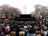 20150404_六実桜まつり_千葉県立松戸六実高校_吹奏楽部_1208_MAH00298020