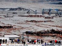 20110311_東日本大震災_宮城県_仙台市_南三陸町_志津川_222