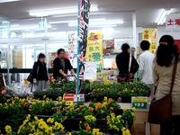 20141025_船橋市行田3_ふなっこ畑_出張ふなばし朝市_1059_DSC03918
